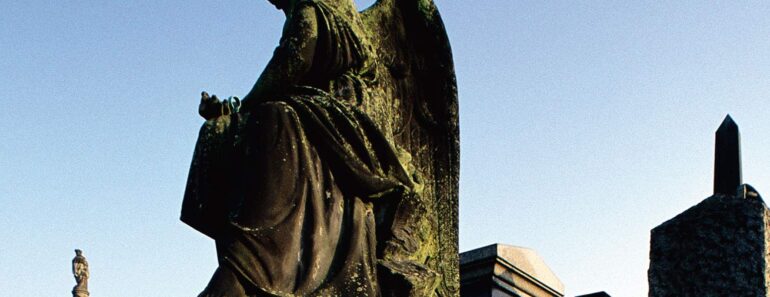 El cementerio de los ingleses 【resumen y personajes】