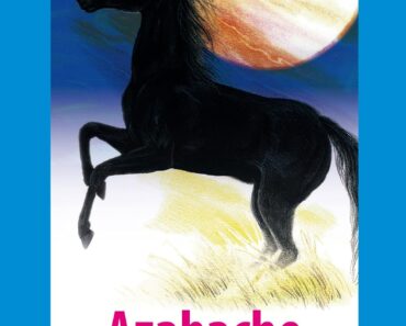 Azabache 【resumen y personajes】